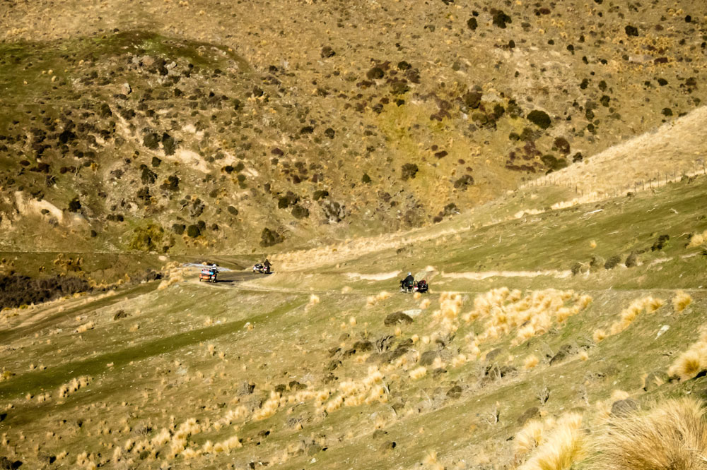 New Zealand